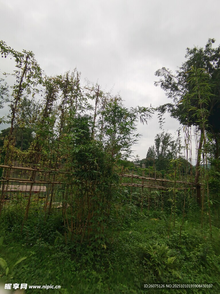 野外绿植与围栏景观