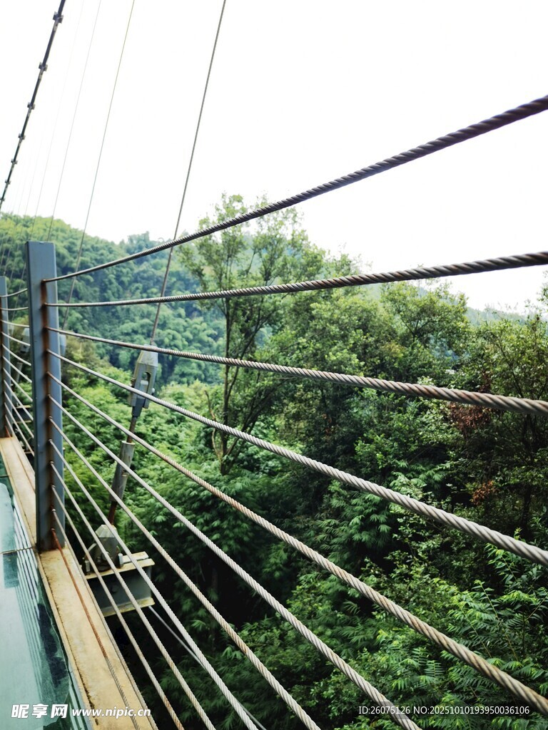 漫步林间吊桥赏自然美景
