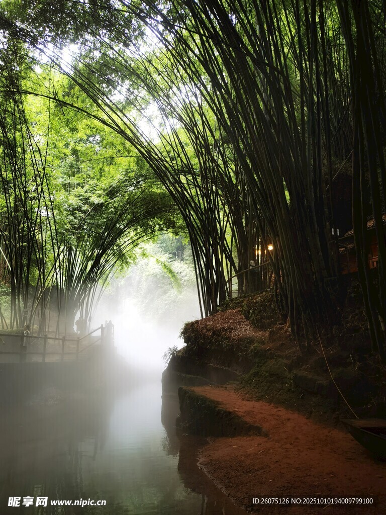 竹林迷雾中的清幽小径