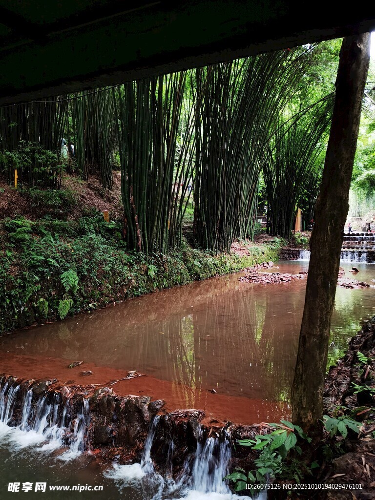 林间溪流自然清幽之景