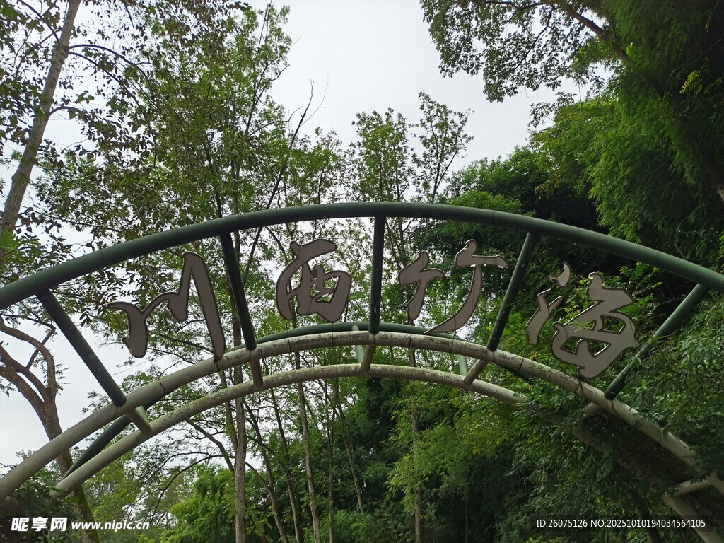 林间拱形绿植景观