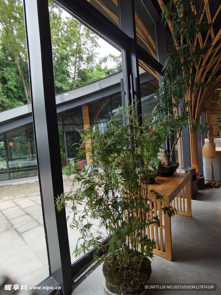室内绿植装点的明亮空间