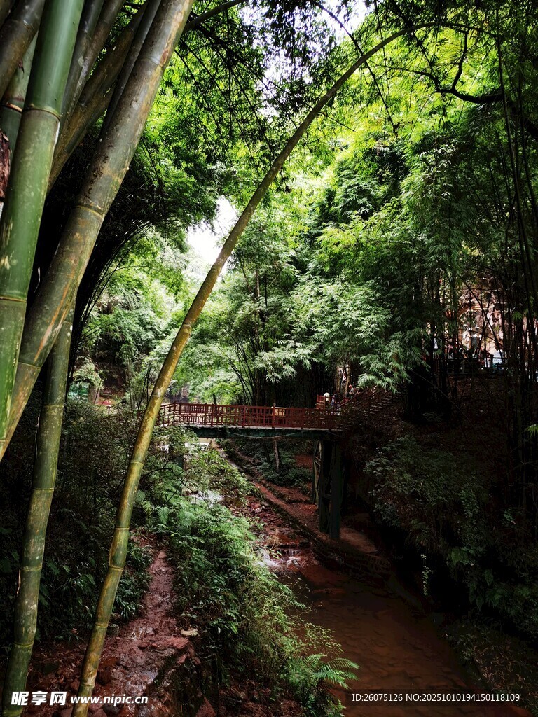 林间溪流上的古朴小桥