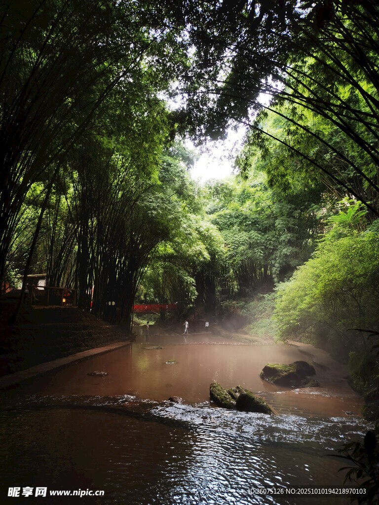 林间溪流弥漫自然雾气