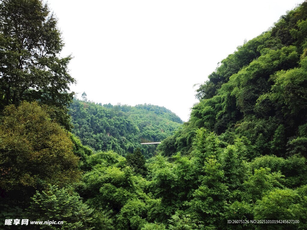 翠绿山林间的自然美景