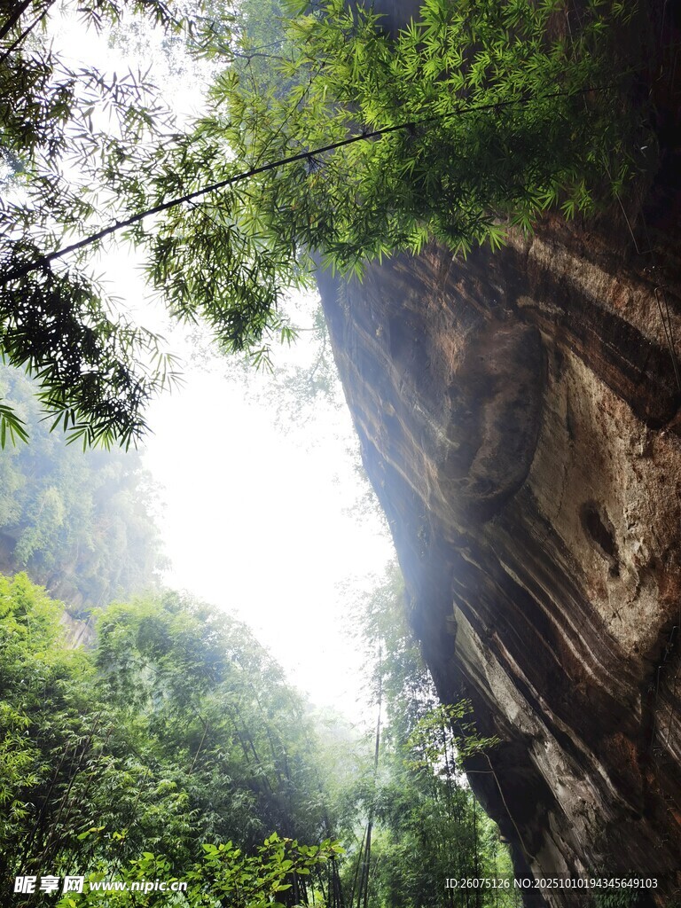 山间峭壁旁的葱郁绿意