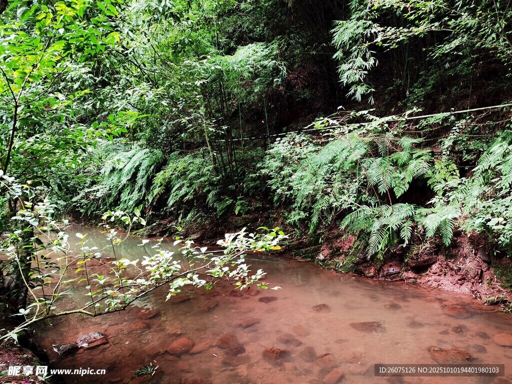 山林间的湿润红土地景观