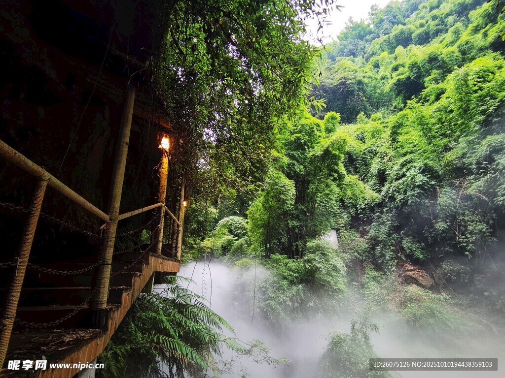 雨林中的木质栈道景观