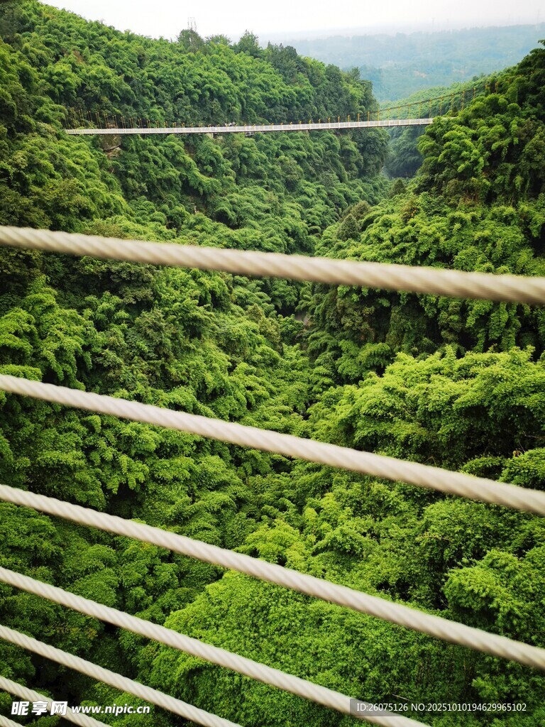 俯瞰葱郁山林景观