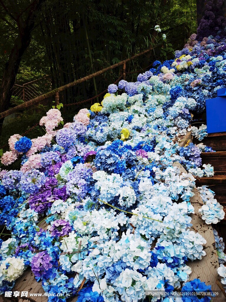 仿真缤纷绣球花海烂漫绽放