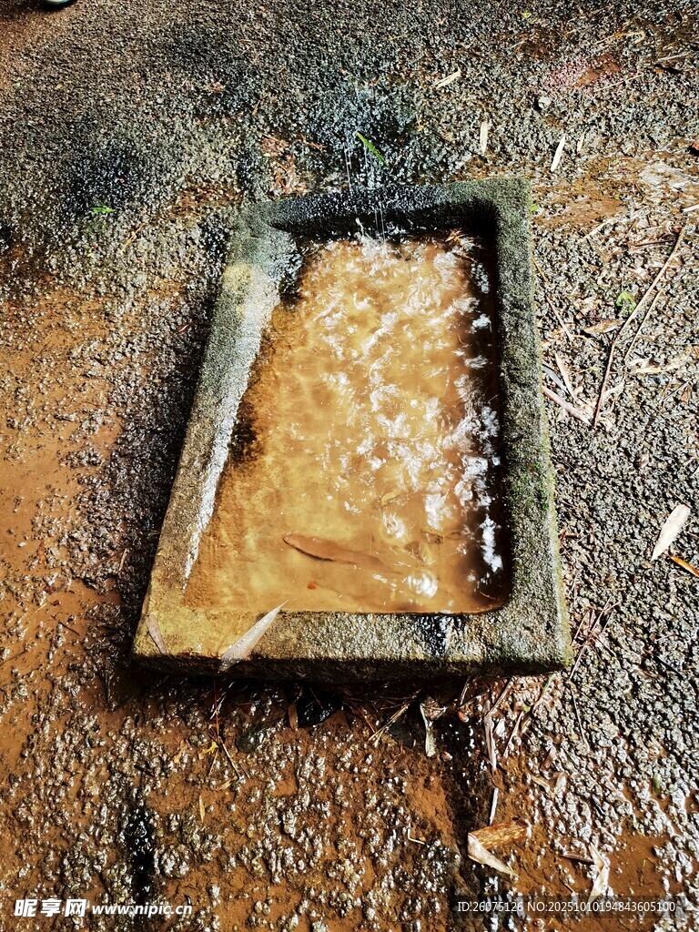方形容器中的棕透明清泉
