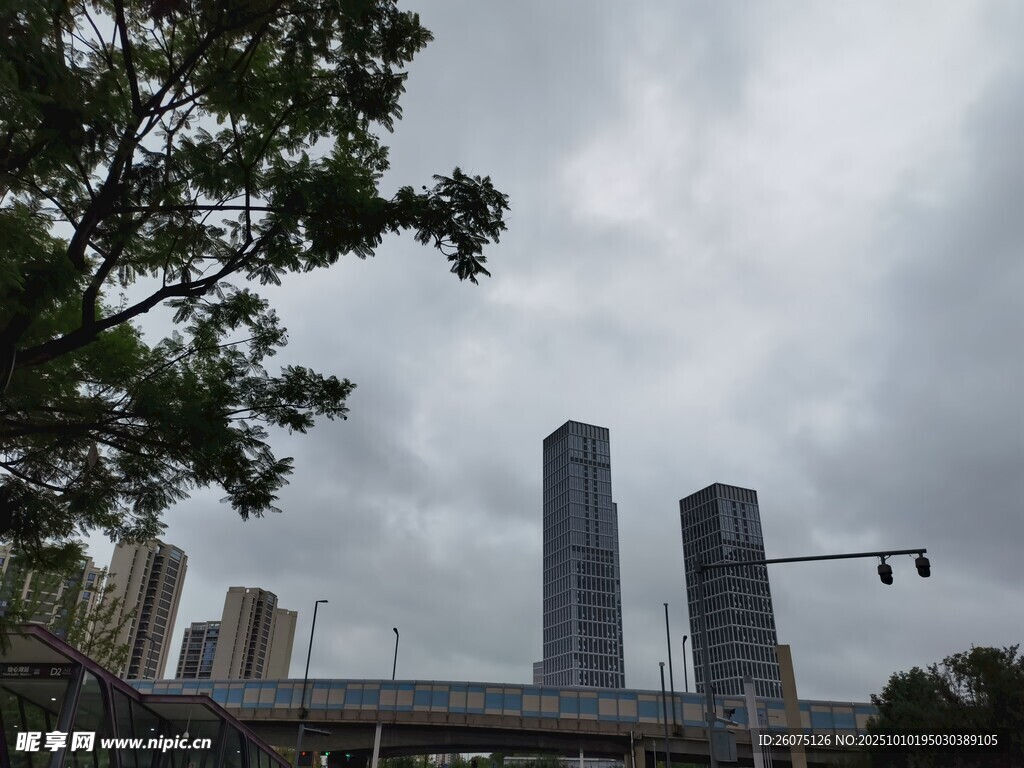 城市高楼与绿树相映成景