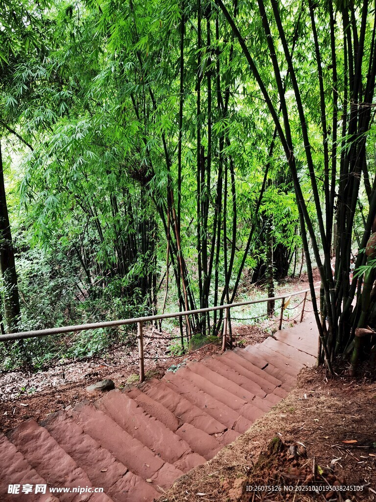 竹林间的红砖小径
