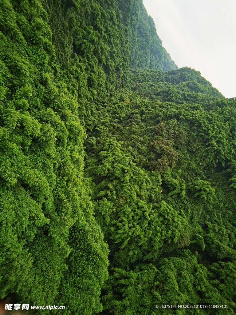 翠绿苔藓覆盖的陡峭岩壁
