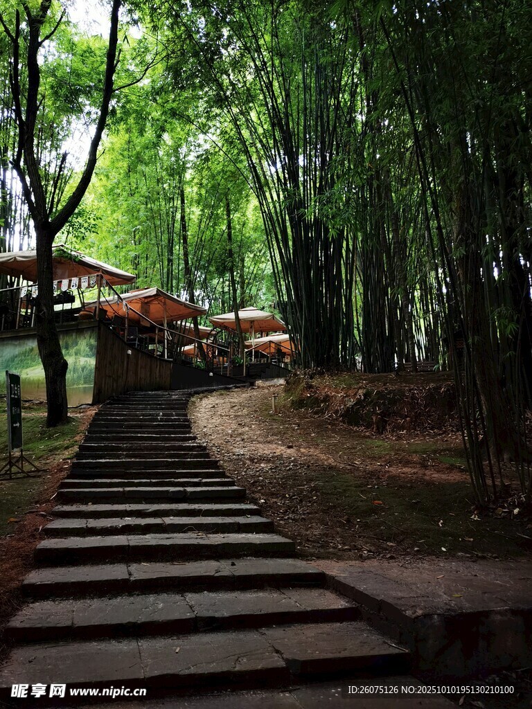 竹林间的石板小径