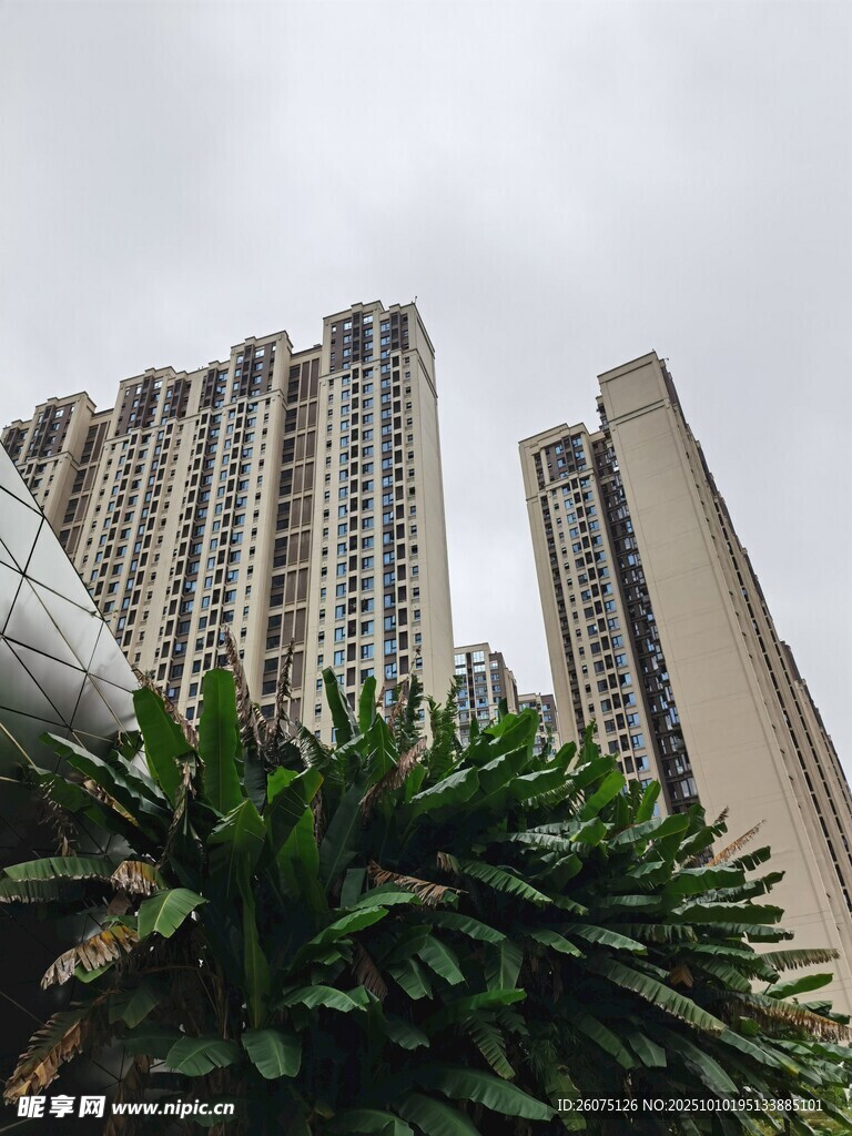高楼与绿植相映成趣
