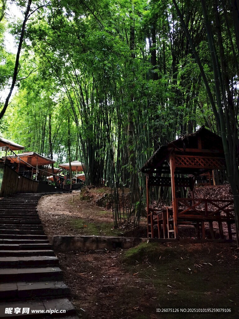竹林中的古朴小屋