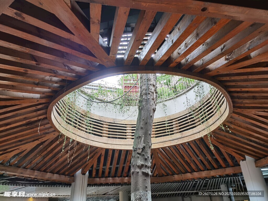 圆形木质屋顶建筑景观