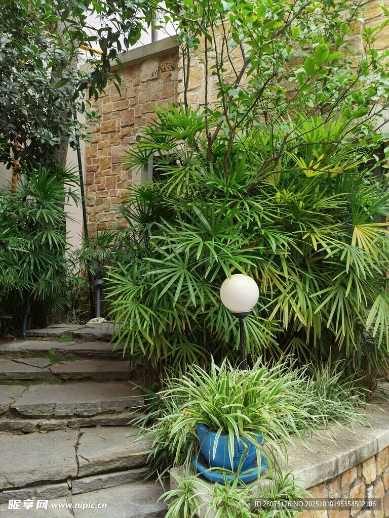 庭院石阶绿植景观