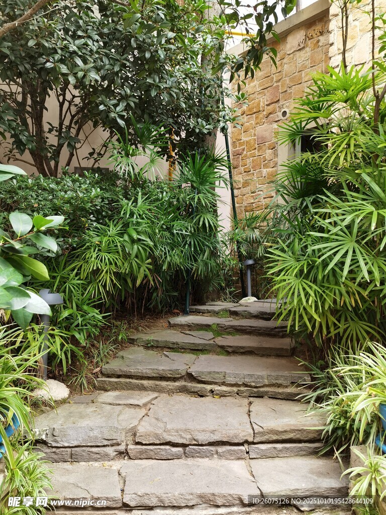 石径绿植环绕的庭院小道