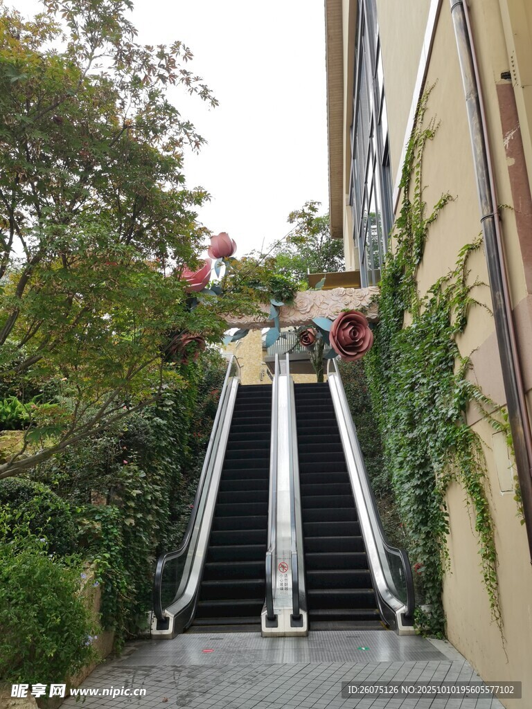 户外自动扶梯旁绿植环绕