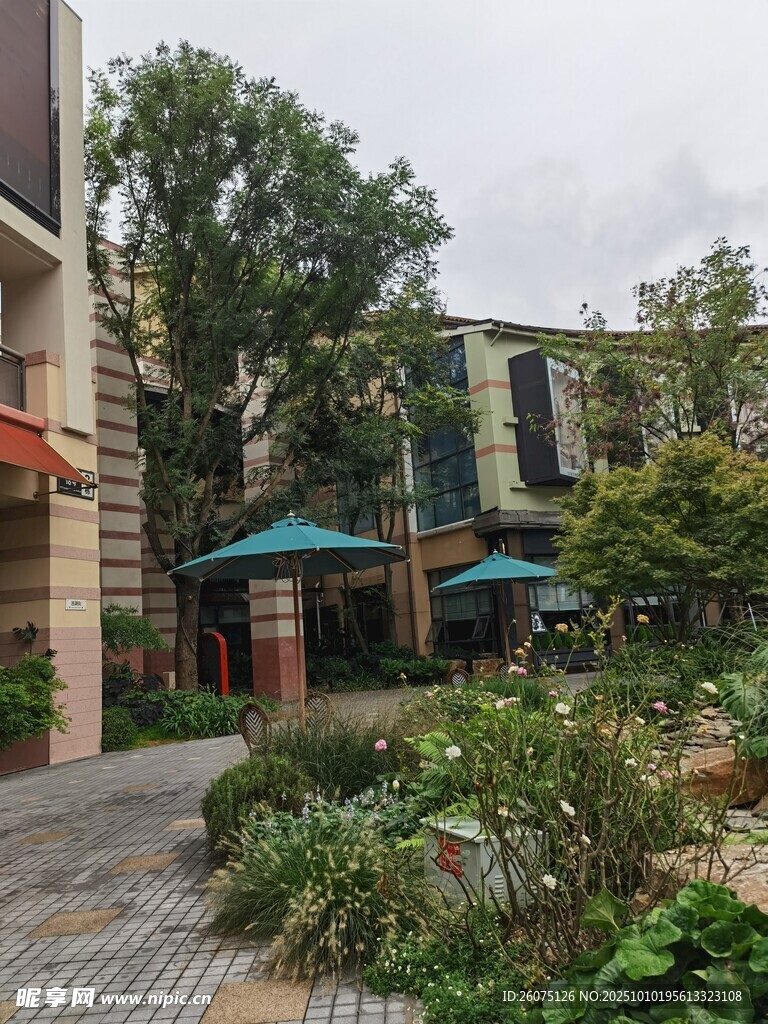 庭院绿植与户外休闲区域