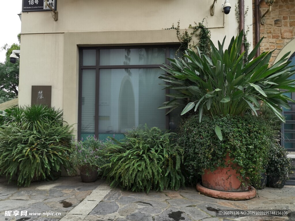 庭院绿植环绕的玻璃门建筑