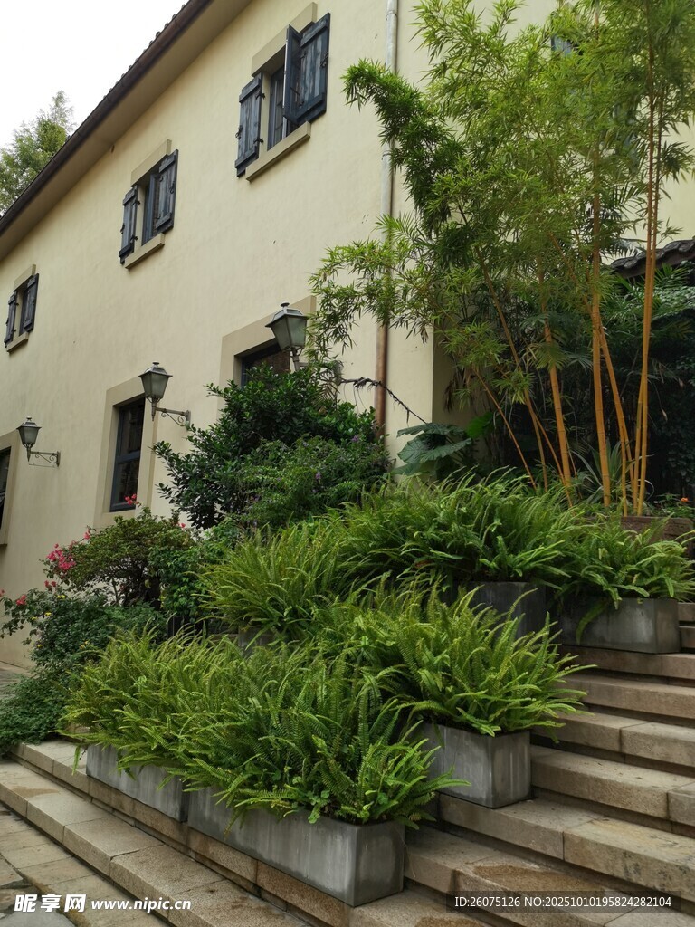 庭院绿植环绕的雅致建筑
