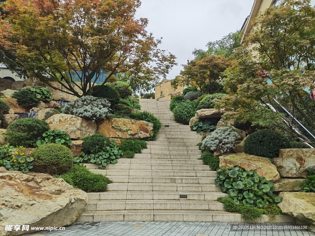 山间石径绿植环绕景致美