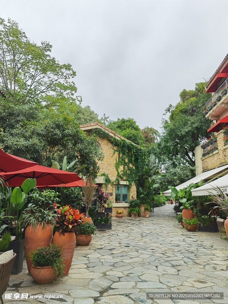 欧式风情庭院石板路景观
