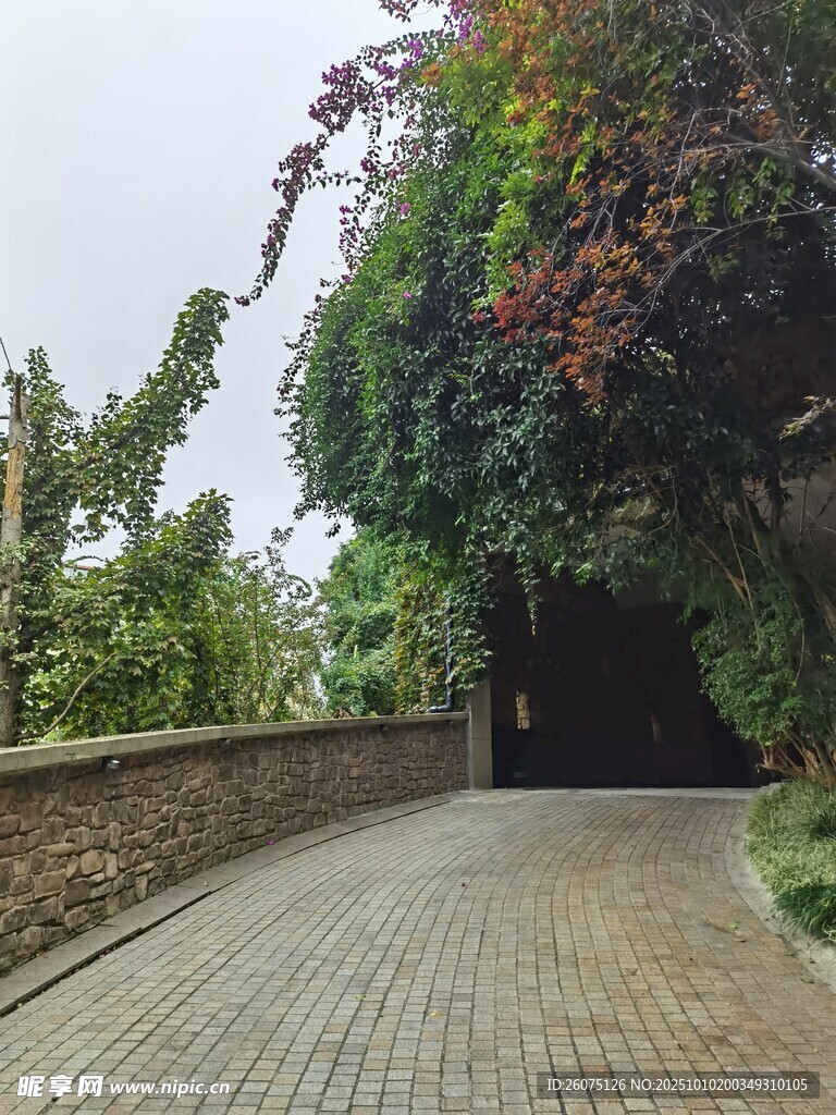 幽静砖石小径隐于绿荫间