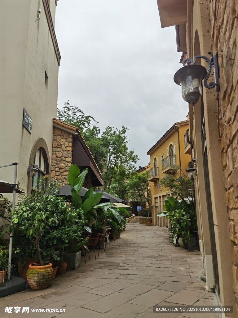 宁静小巷绿植环绕景致美