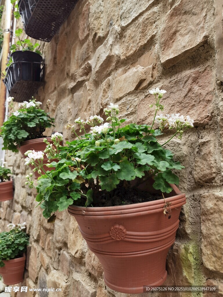 石墙上的盆栽绿植景观