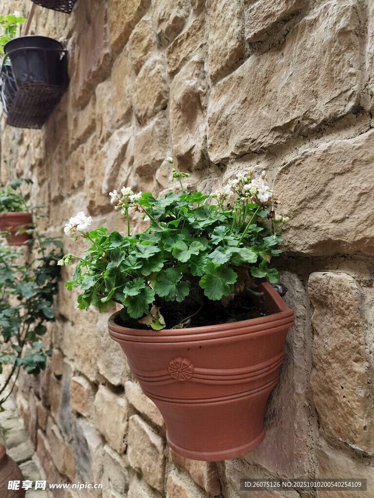 石墙上的壁挂绿植花盆