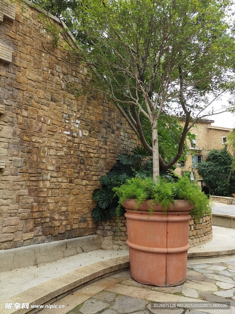 陶盆绿植装点古朴庭院