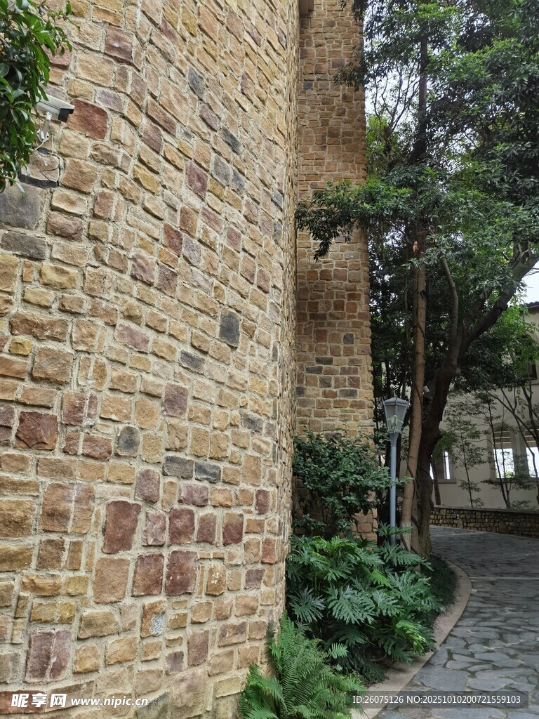 砖墙旁的绿植与小径