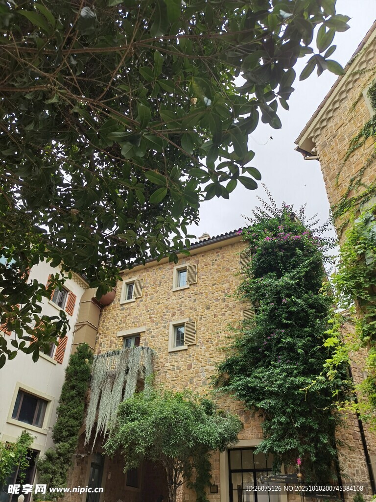 绿植环绕的古朴建筑