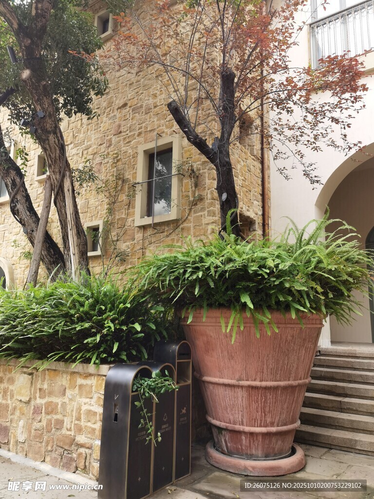 庭院绿植景观古朴花盆