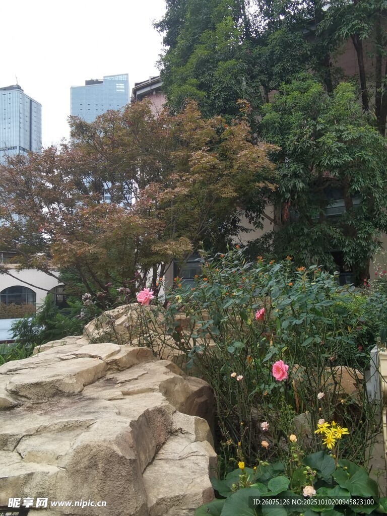 城市中繁花点缀的石径