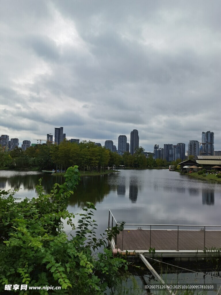 湖畔城市景观绿意环绕