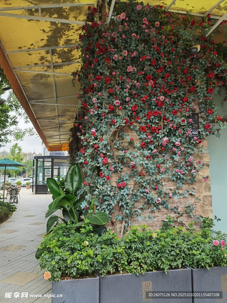 墙面仿真绿植景观