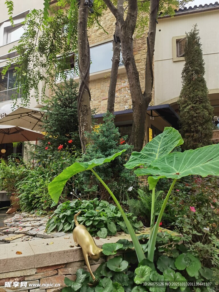 庭院绿植与建筑景观一角