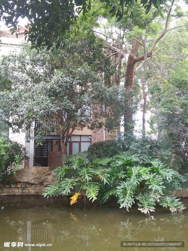 水边绿植环绕的静谧小屋