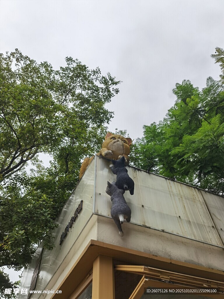 屋顶猫咪雕塑场景
