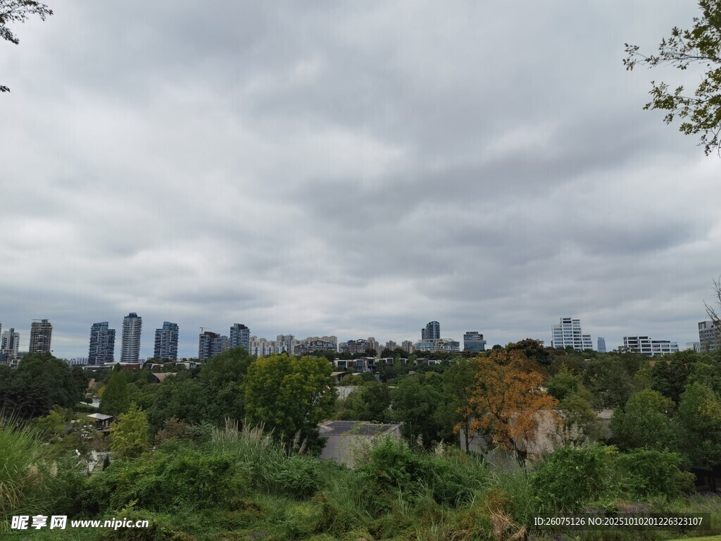 城市远景与绿植景观