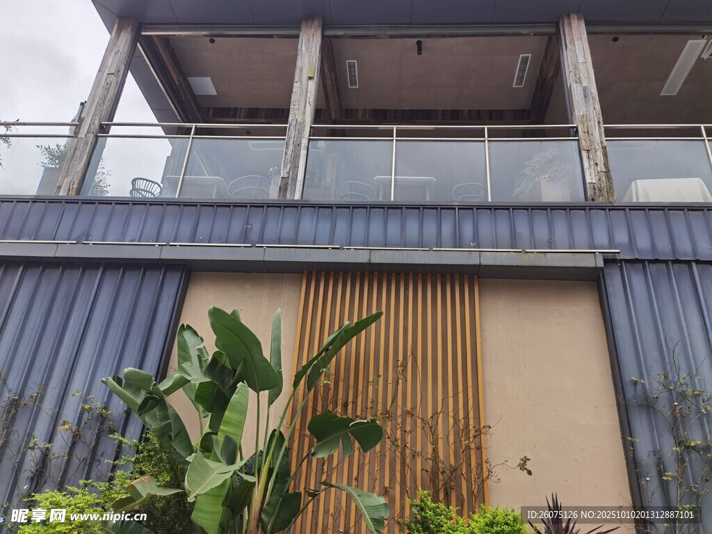 现代风建筑外观与绿植