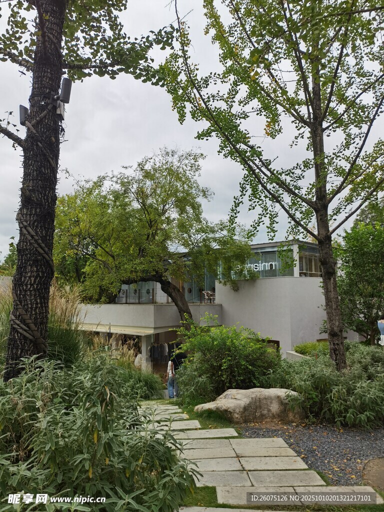 静谧庭院绿植景观