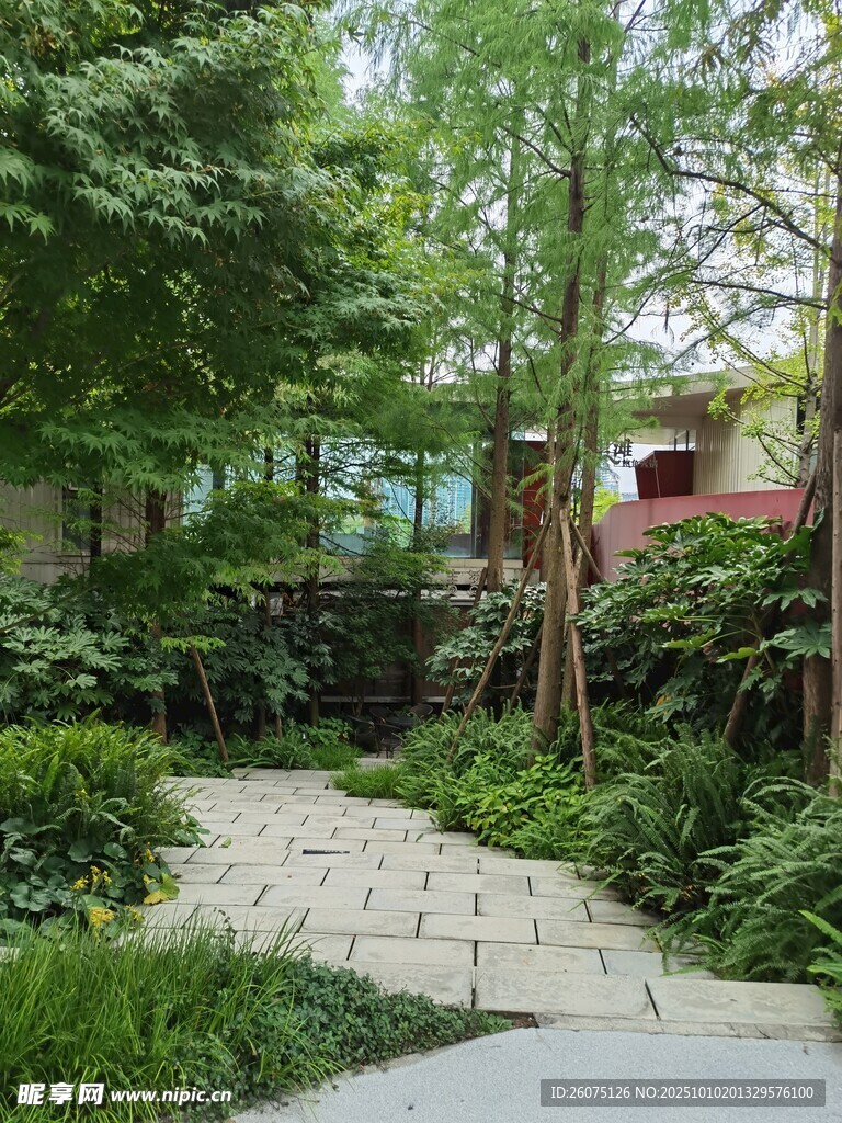 静谧庭院绿植小径景观