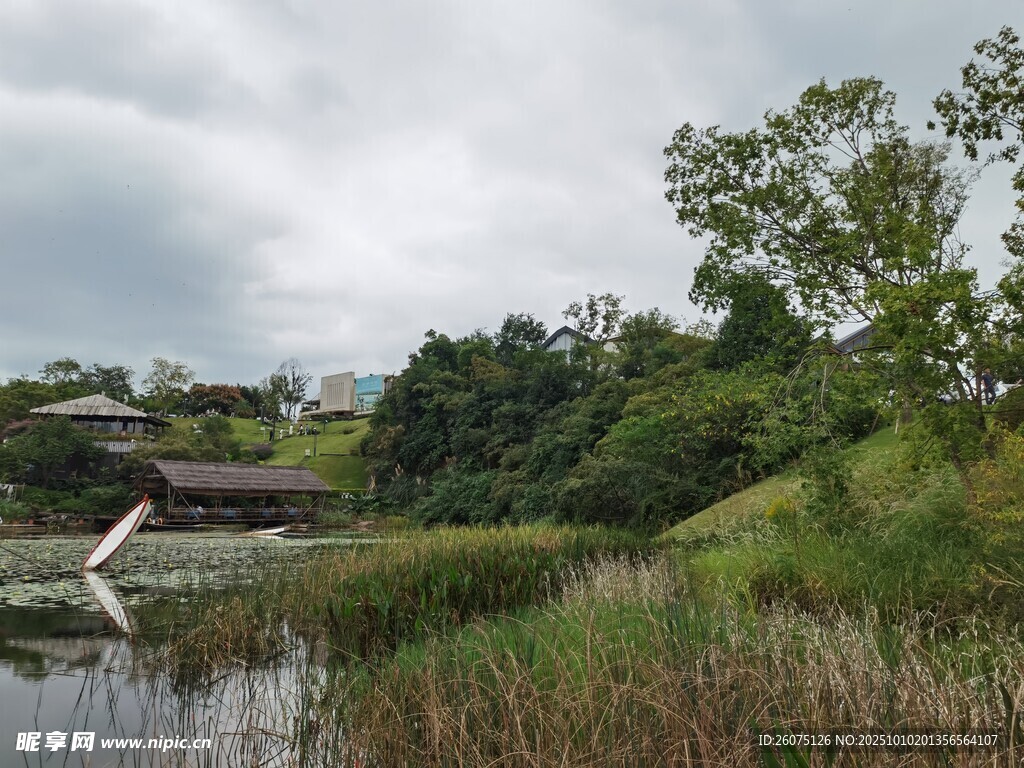 湖畔草木与远处建筑风景