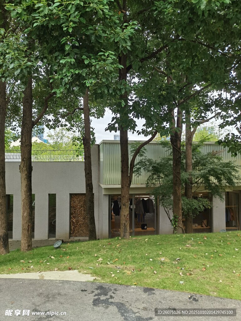 绿树环绕的现代建筑